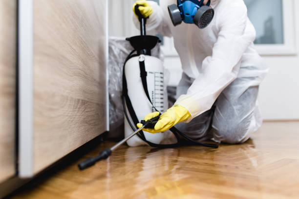 Best Residential Pest Control  in Navasota, TX