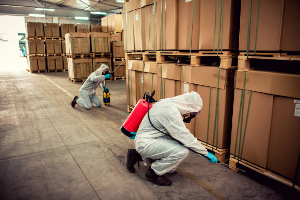 Pest Prevention Services in Navasota, TX