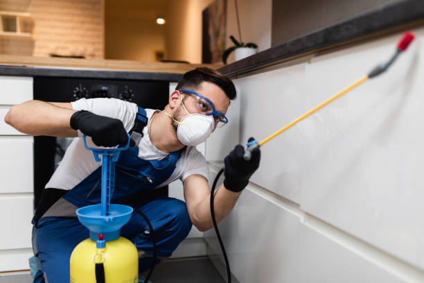 Best Mosquito Control Services  in Navasota, TX