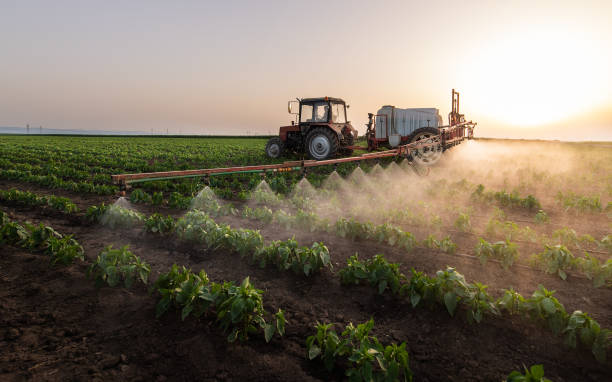 Best Pest Removal Services  in Navasota, TX