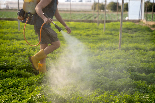 Navasota, TX Pest Control Company