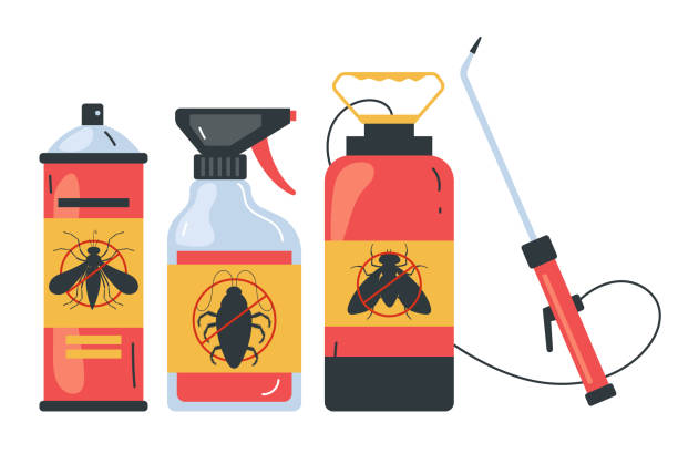 Best Local Pest Control Services  in Navasota, TX