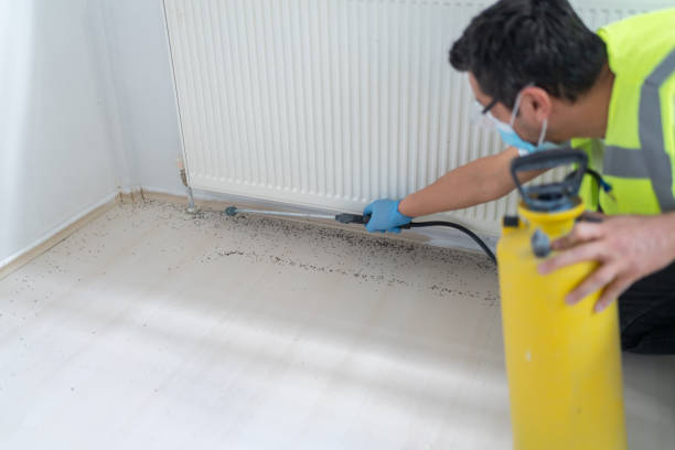 Best Emergency Pest Control  in Navasota, TX